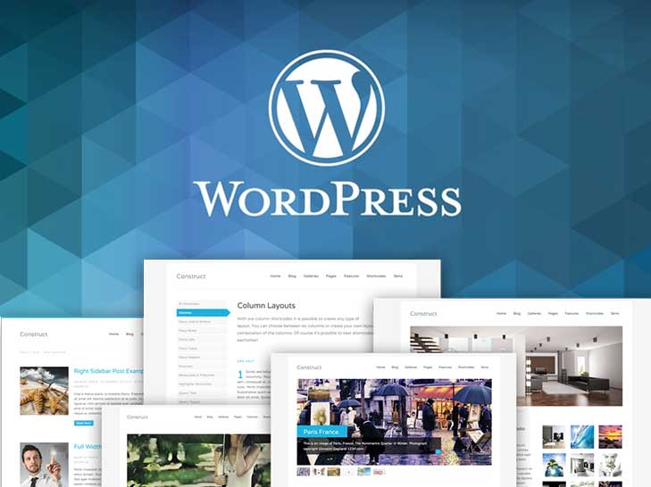 Wordpress Developement