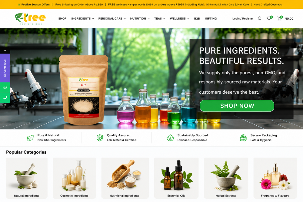 wordpress website